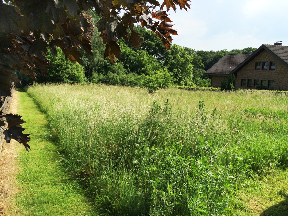 VERKAUFT - Großes und sonniges Baugrundstück in Vlotho-Uffeln